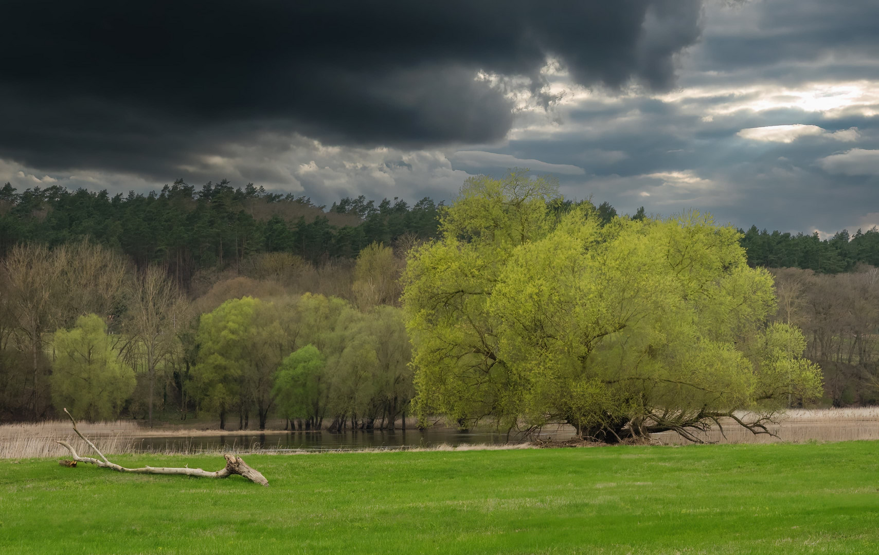 Frühling an der Elbe