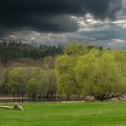 Frühling an der Elbe