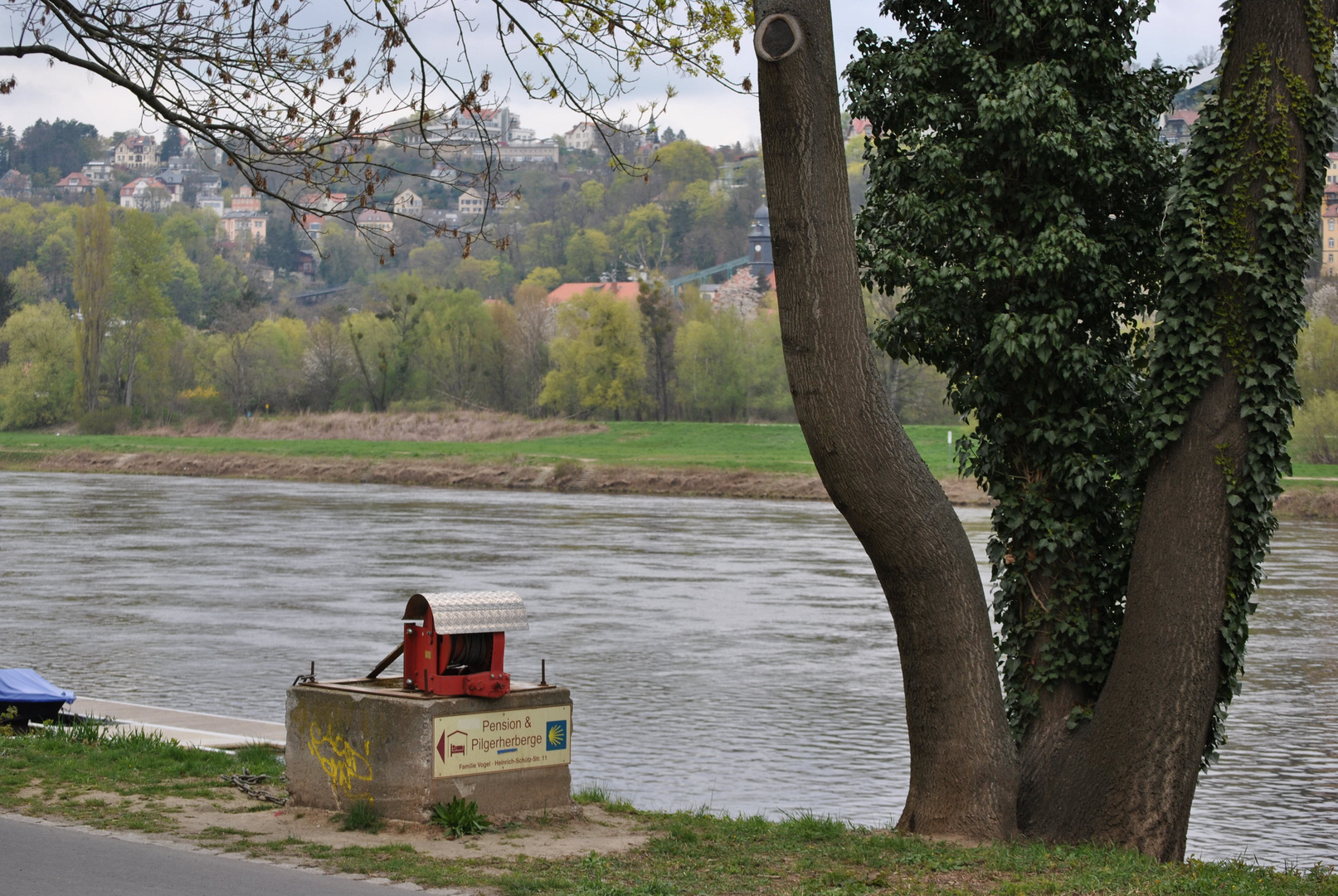 Frühling an der Elbe