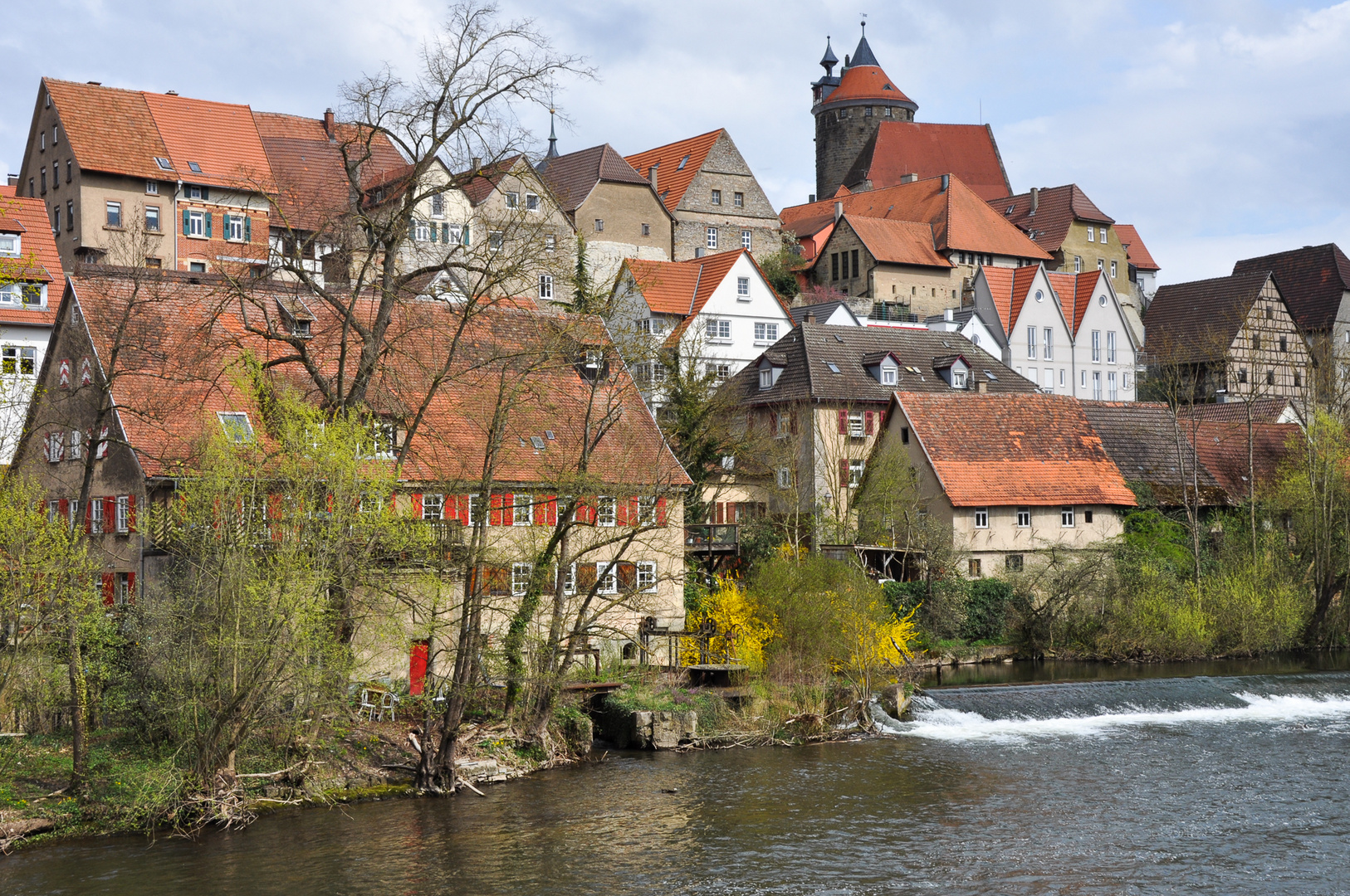 Frühling an der Enz