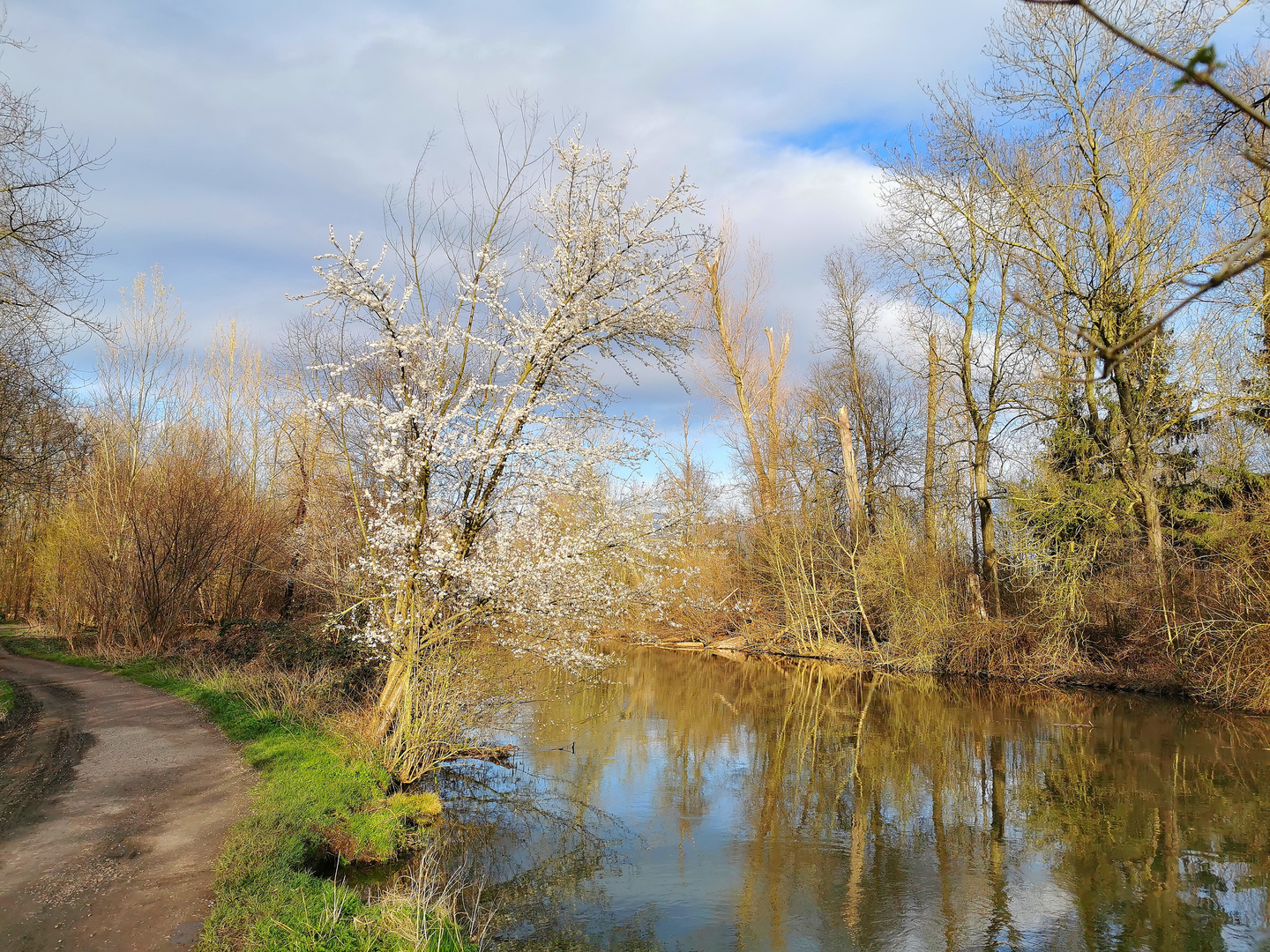 Frühling an der Erft