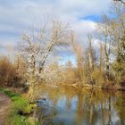 Frühling an der Erft