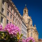 Frühling an der Frauenkirche