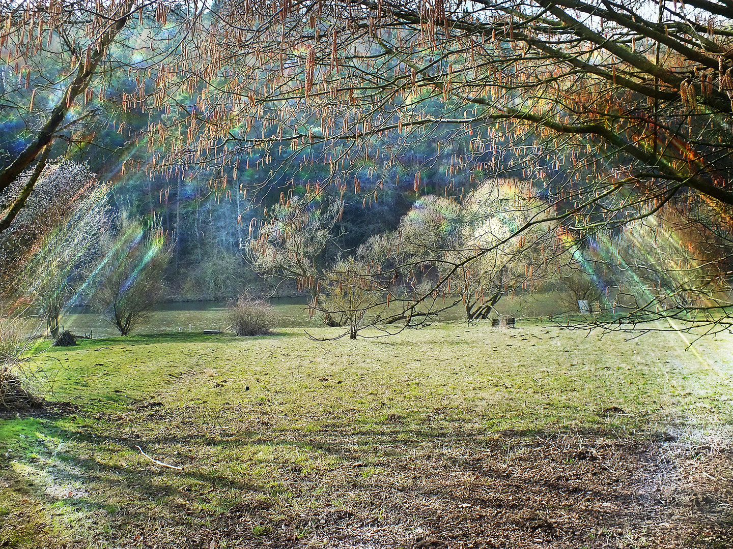 Frühling an der Fulda