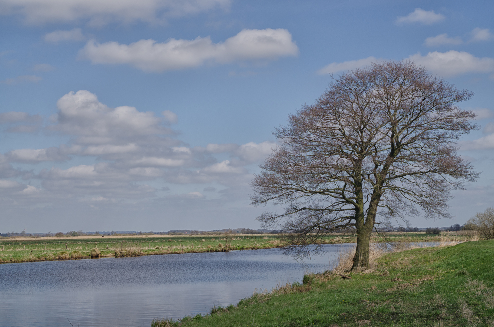 Frühling an der Hamme