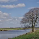 Frühling an der Hamme