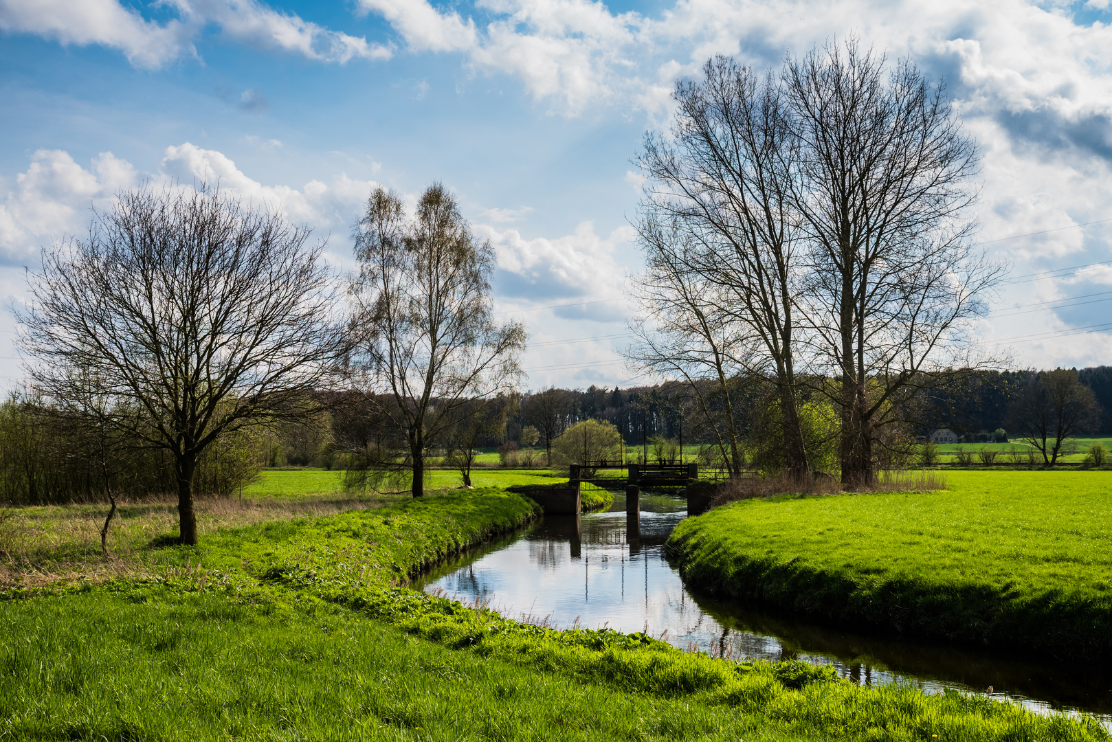 Frühling an der Hase im Osnabrücker Land