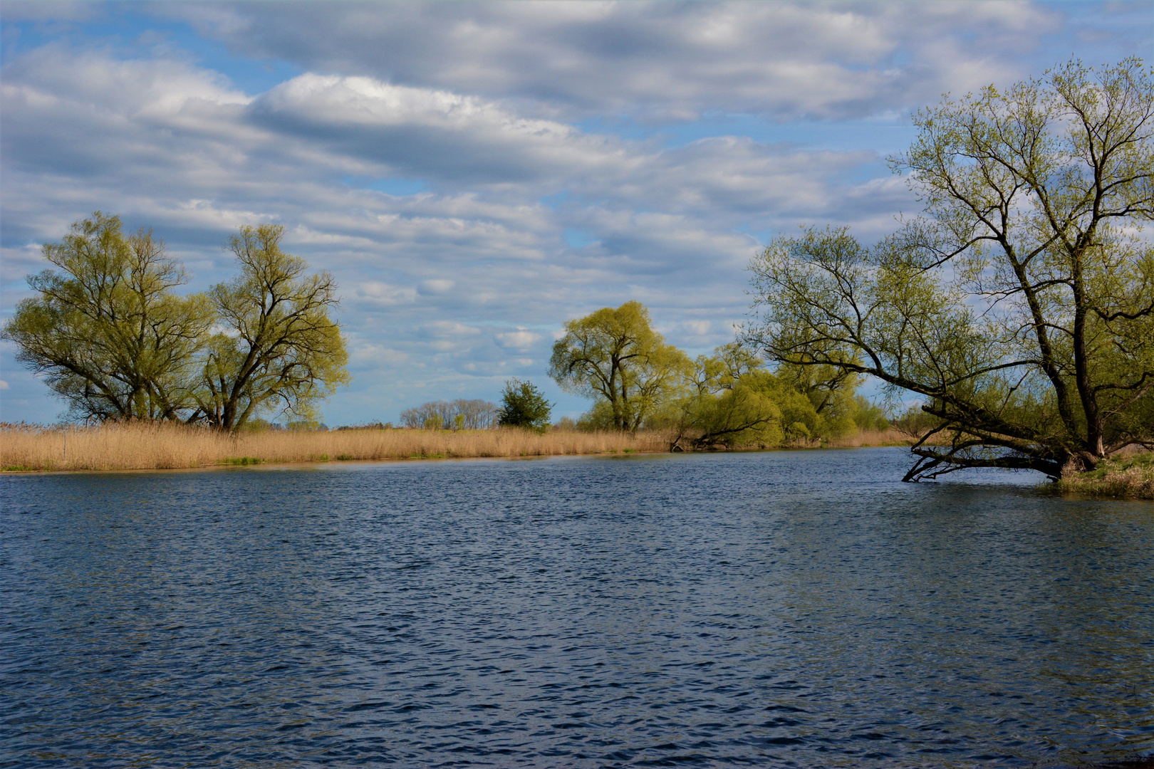 Frühling an der Havel