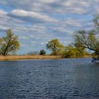 Frühling an der Havel