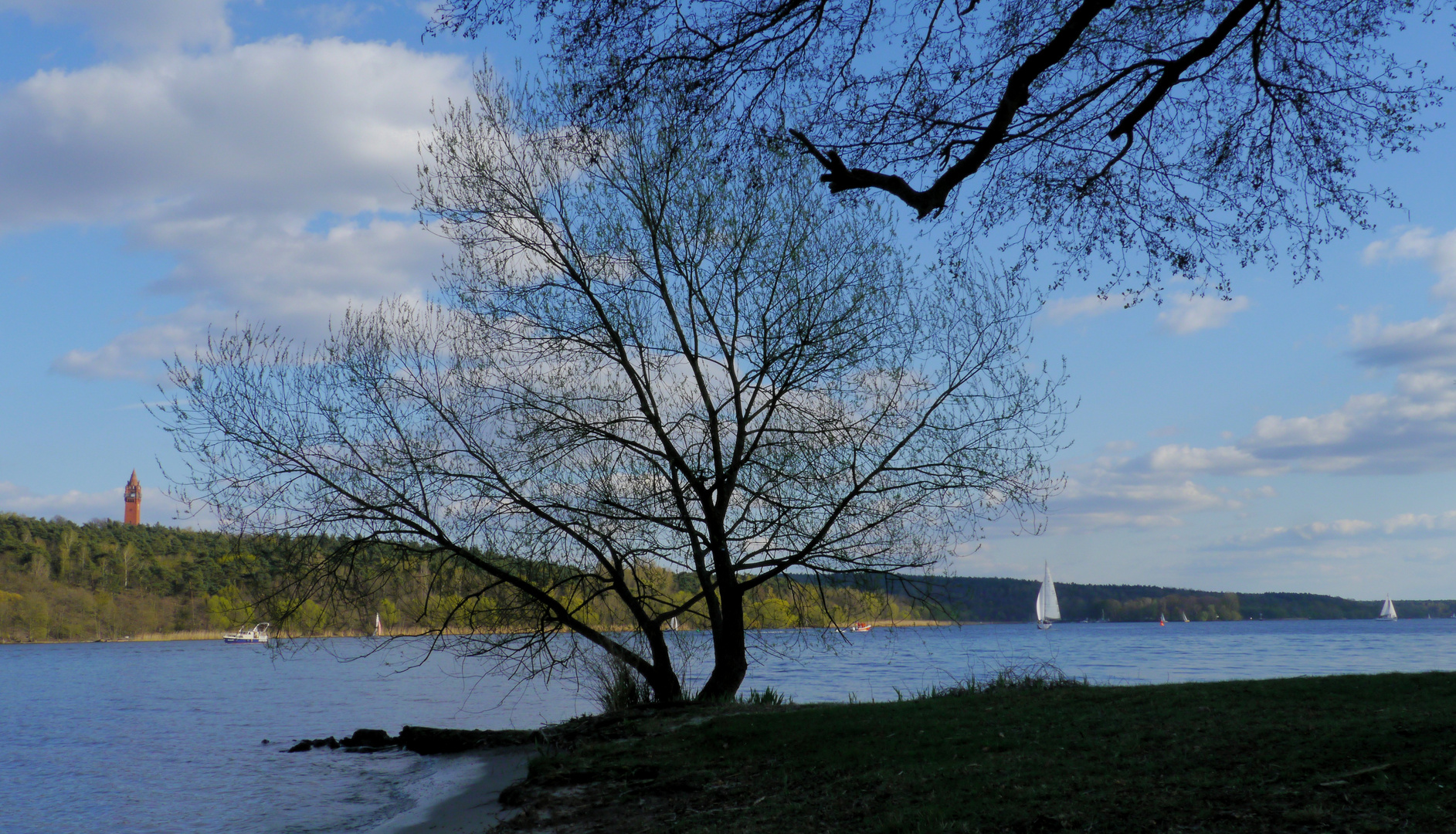 Frühling an der Havel