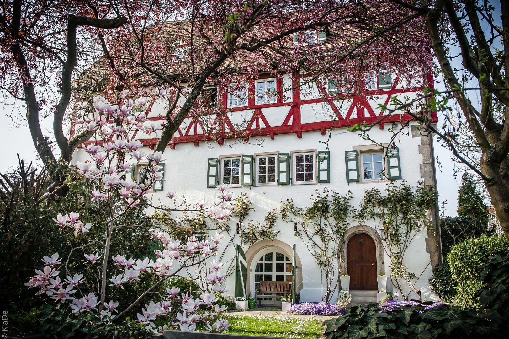 Frühling an der Holderburg