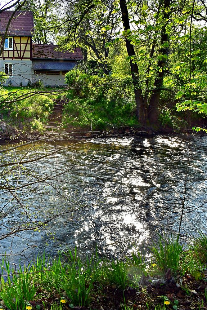 Frühling an der Ilm