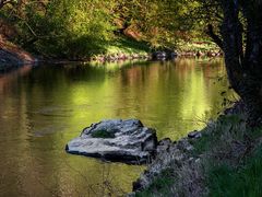 Frühling an der Ilz 4