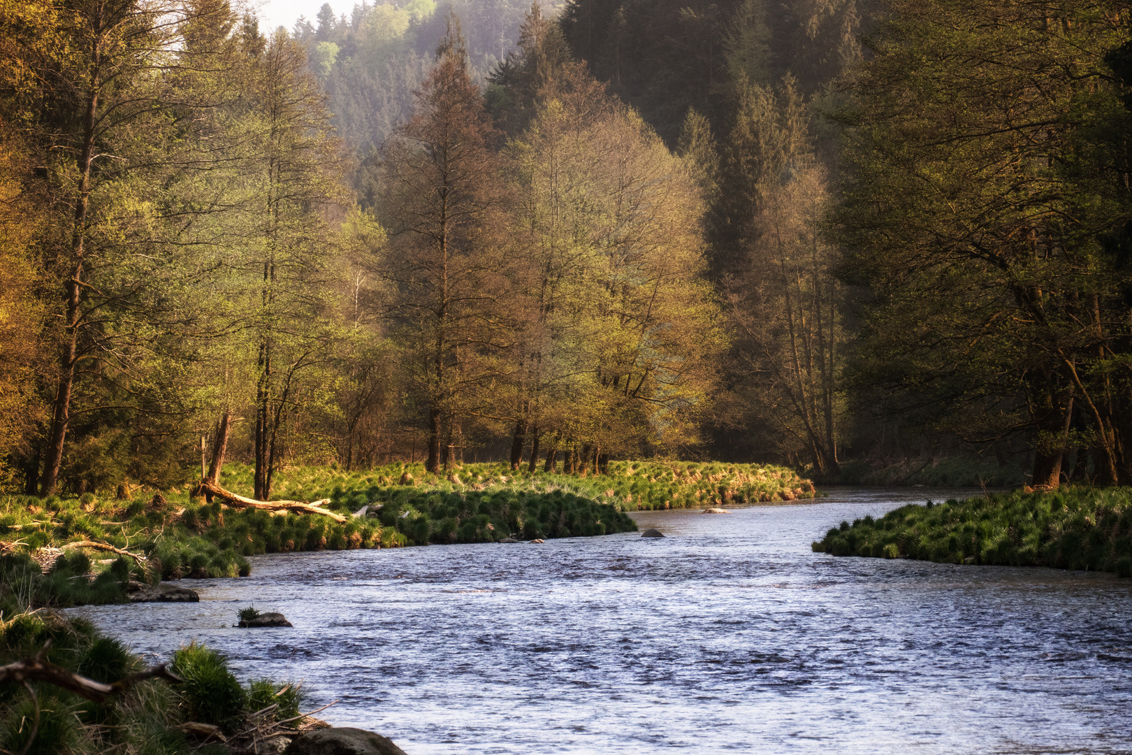  Frühling an der Ilz 8