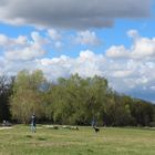 Frühling an der Isar 2