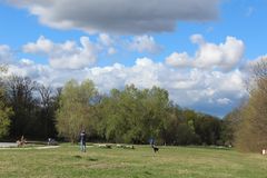 Frühling an der Isar 2