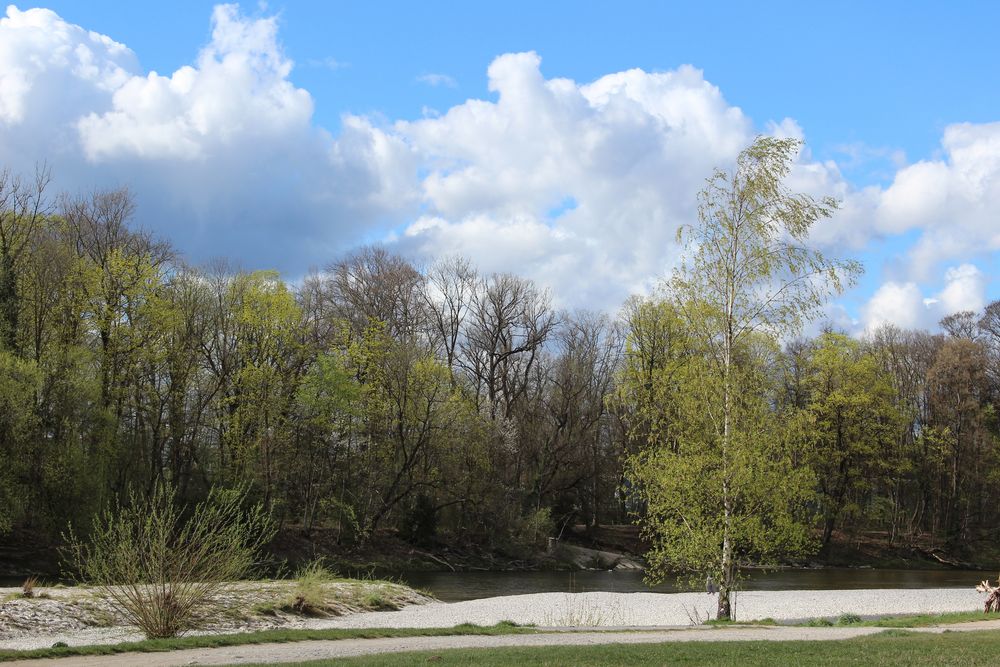 Frühling an der Isar 3