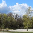 Frühling an der Isar 3