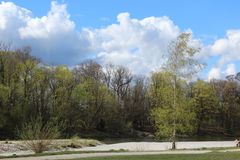 Frühling an der Isar 3