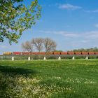 Frühling an der Kohlebahn.