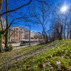 Frühling an der Konrad-Adenauer-Allee