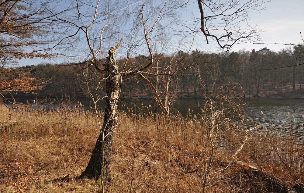 Frühling an der Krummen Lanke......