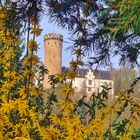 Frühling an der Lahn 