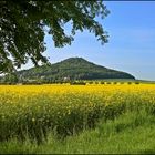 Frühling an der Landeskrone