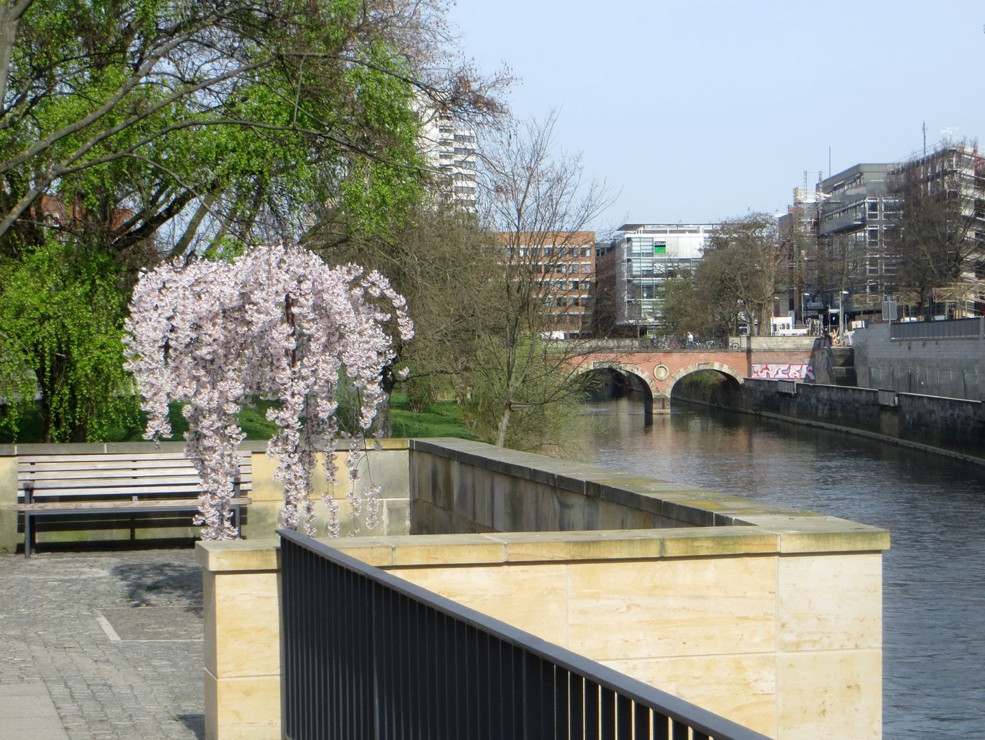 Frühling an der Leine