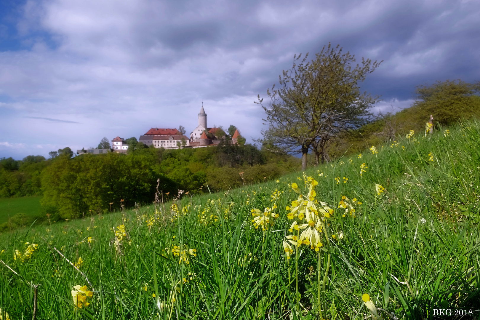 Frühling an der Leuchtenburg 