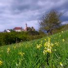 Frühling an der Leuchtenburg 