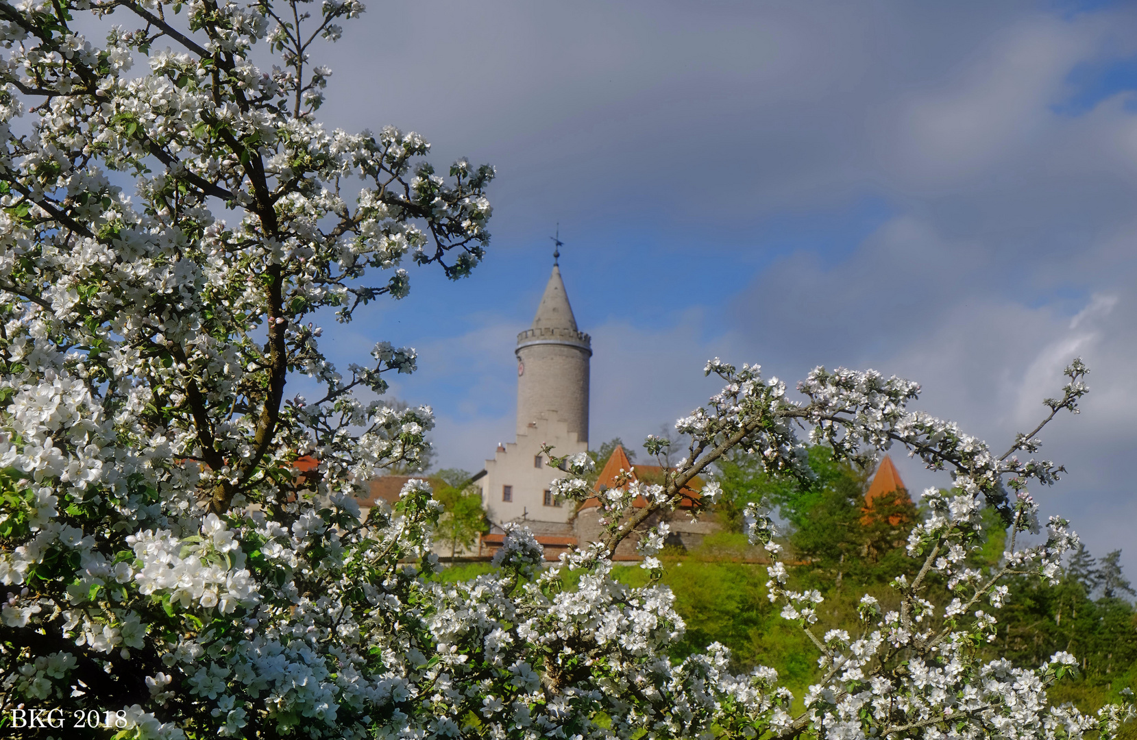 Frühling an der Leuchtenburg