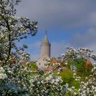 Frühling an der Leuchtenburg