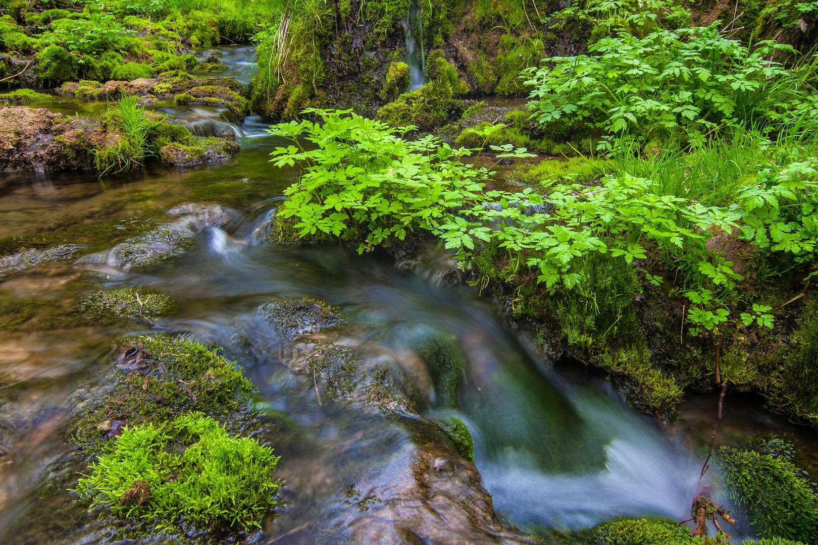 Frühling an der Lillach