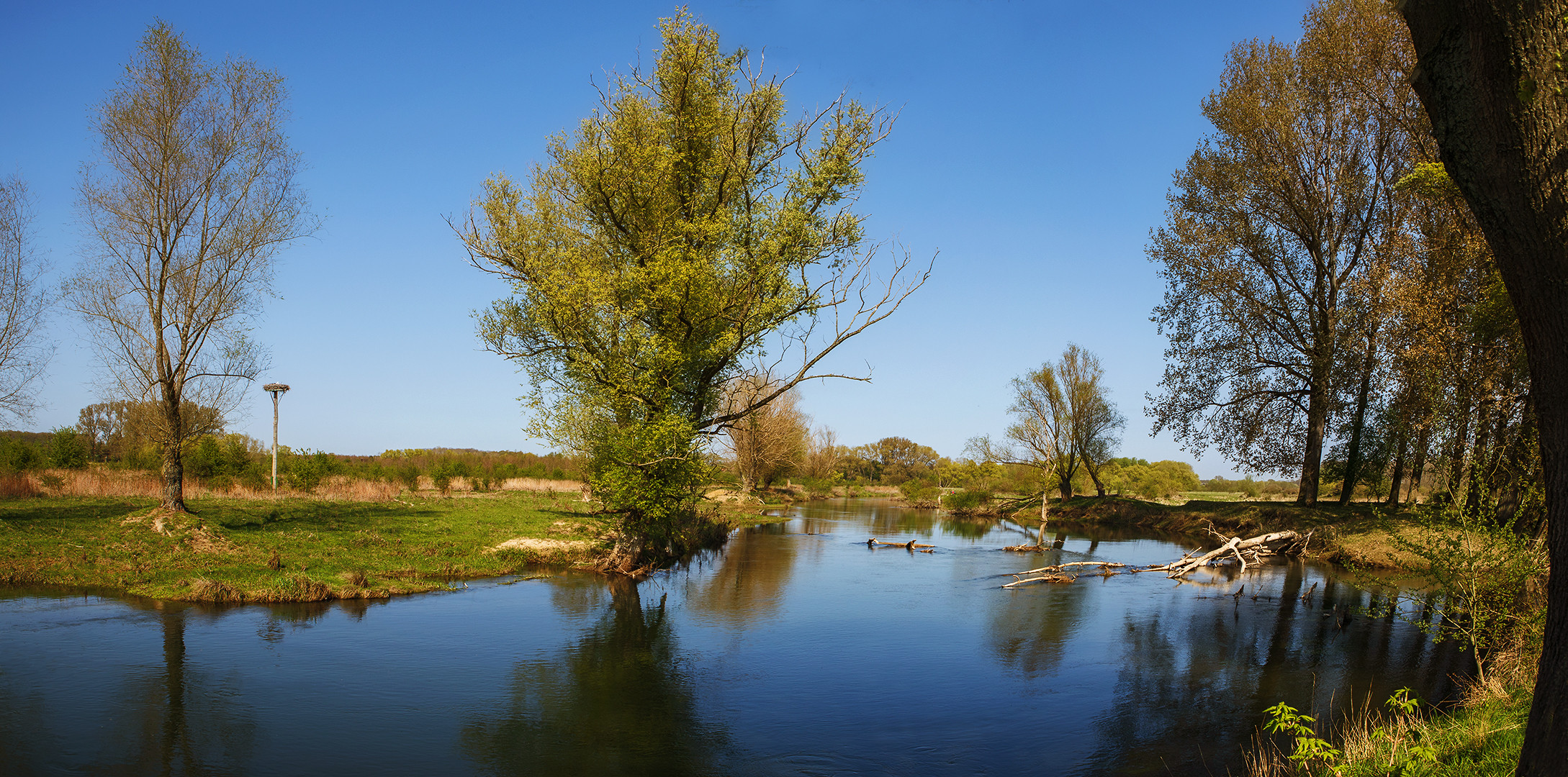 Frühling an der Lippe 001