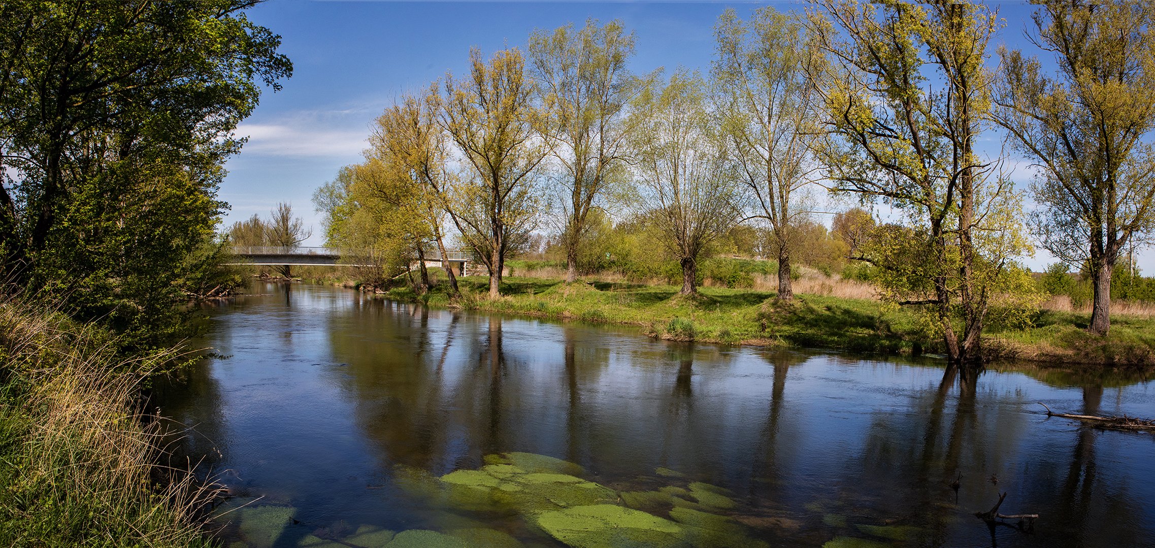 Frühling an der Lippe 005a