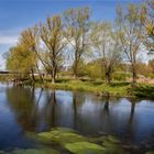 Frühling an der Lippe 005a