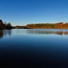 Frühling an der Lister