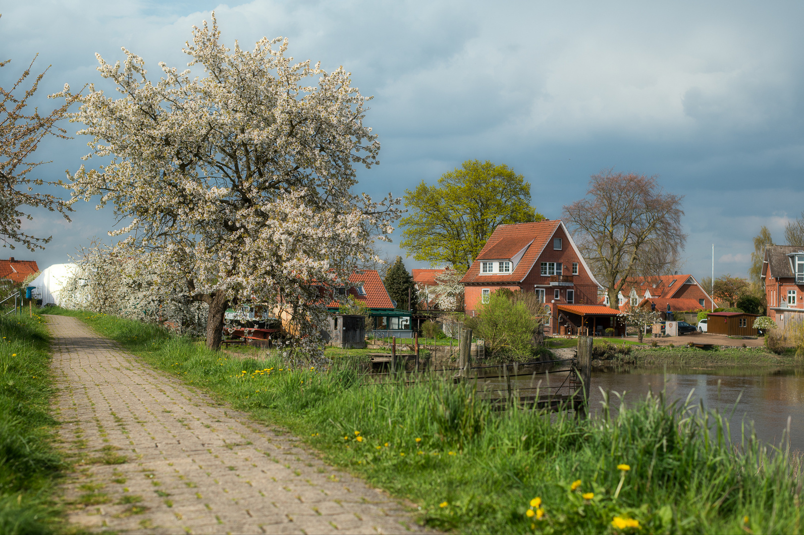 Frühling an der Lühe