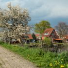 Frühling an der Lühe