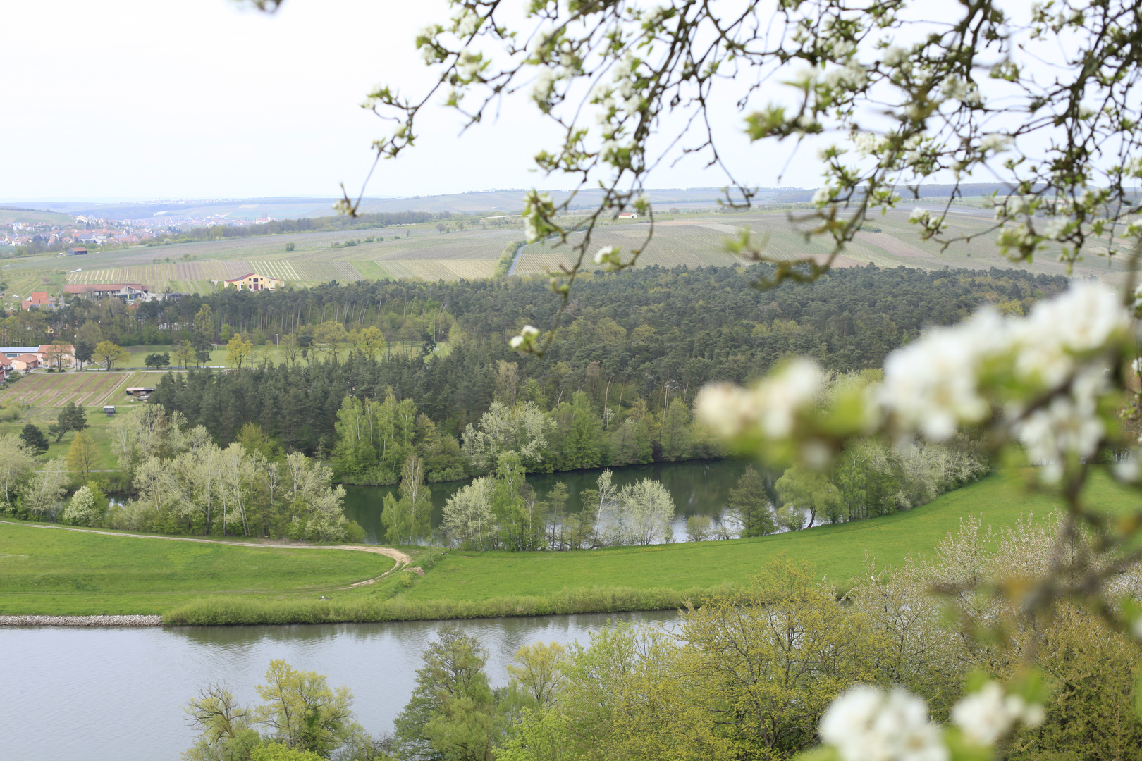 Frühling an der Main schleife 