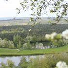 Frühling an der Main schleife 