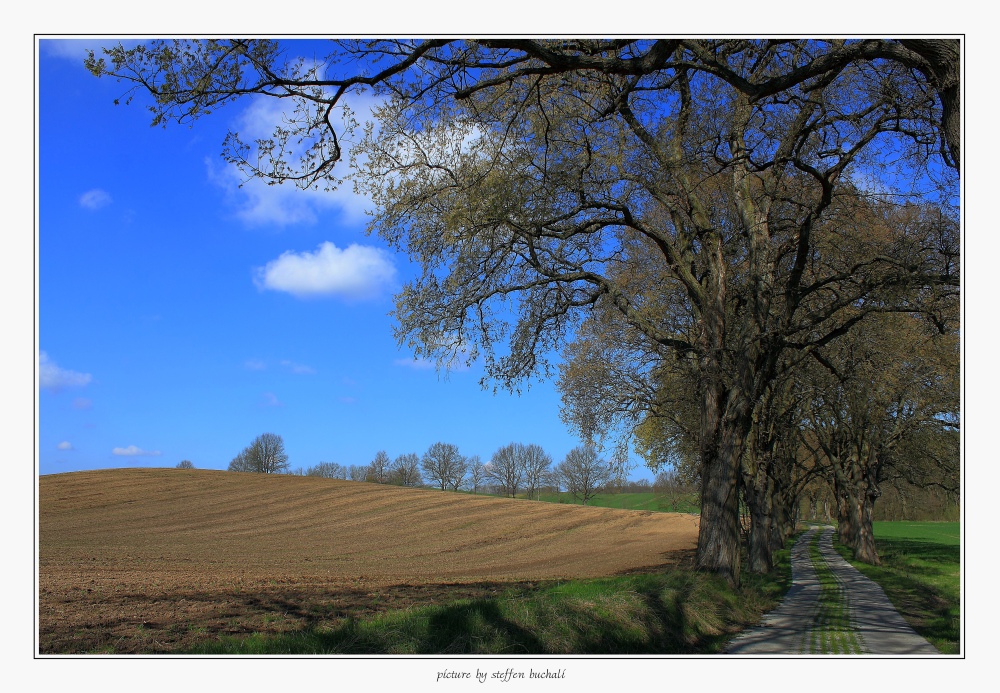 Frühling an der Mecklenburgischen Seenplatte (1)