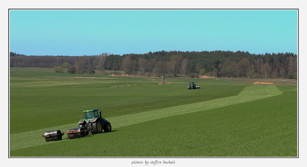 Frühling an der Mecklenburgischen Seenplatte (2)