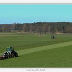 Frühling an der Mecklenburgischen Seenplatte (2)