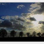 Frühling an der Mecklenburgischen Seenplatte (3)