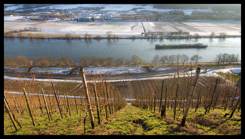 Frühling an der Mosel