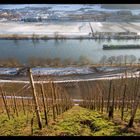 Frühling an der Mosel