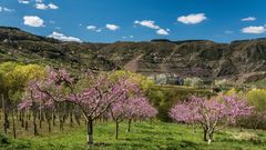 *Frühling an der Mosel*