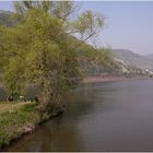 Frühling an der Mosel bei Treis-Karden